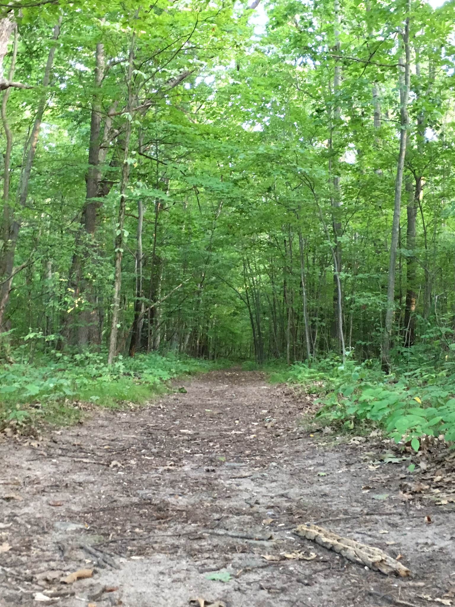 Camper-submitted photo at Metamora-Hadley Recreation Area near Metamora, MI