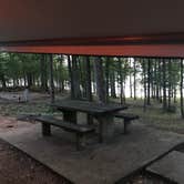 Review photo of Percy Quin State Park — Percy Quinn State Park by Anne M., August 5, 2018