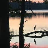 Review photo of Percy Quin State Park — Percy Quinn State Park by Anne M., August 5, 2018