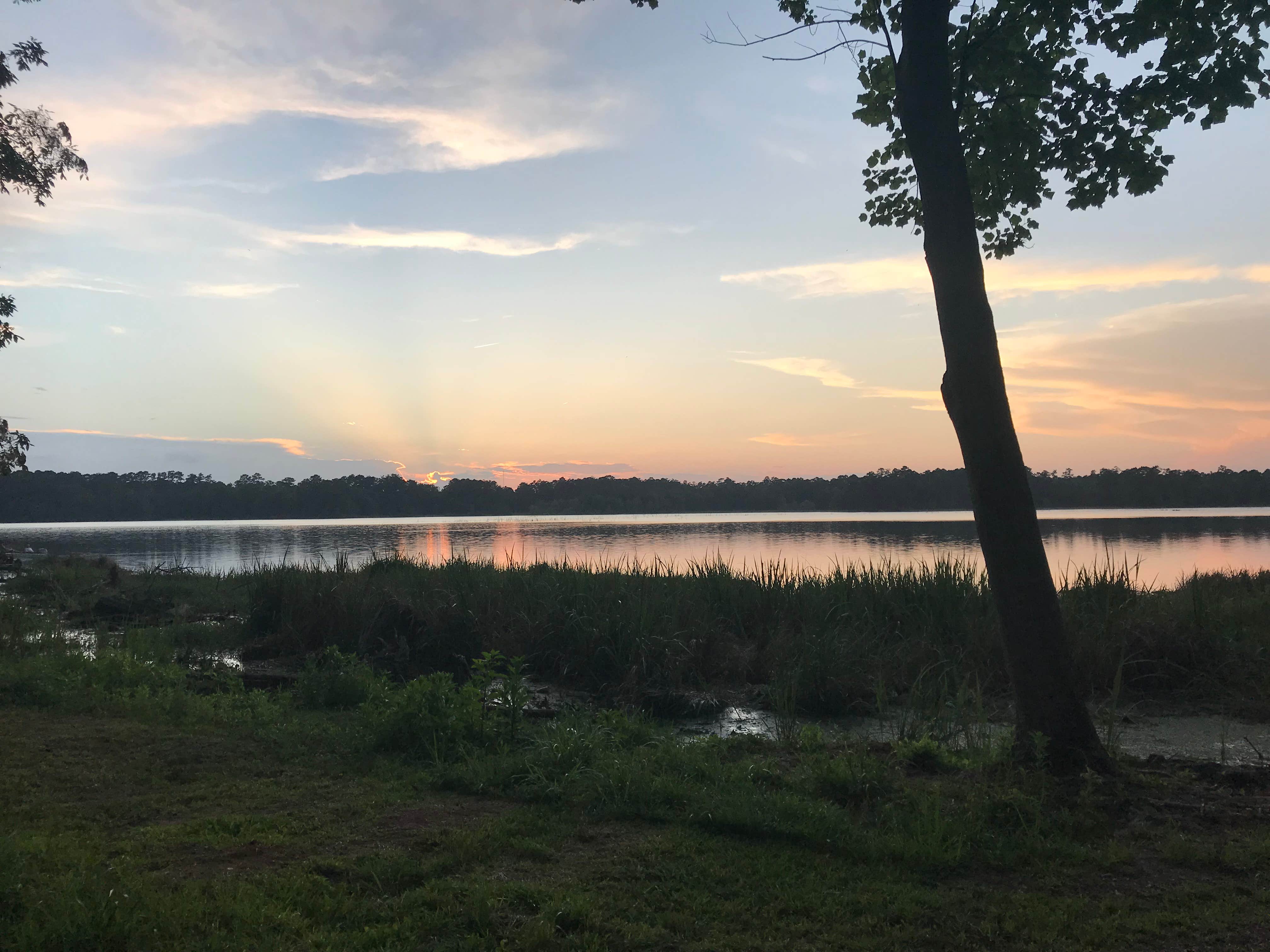 Camper-submitted photo at Percy Quin State Park — Percy Quinn State Park near Gloster, MS