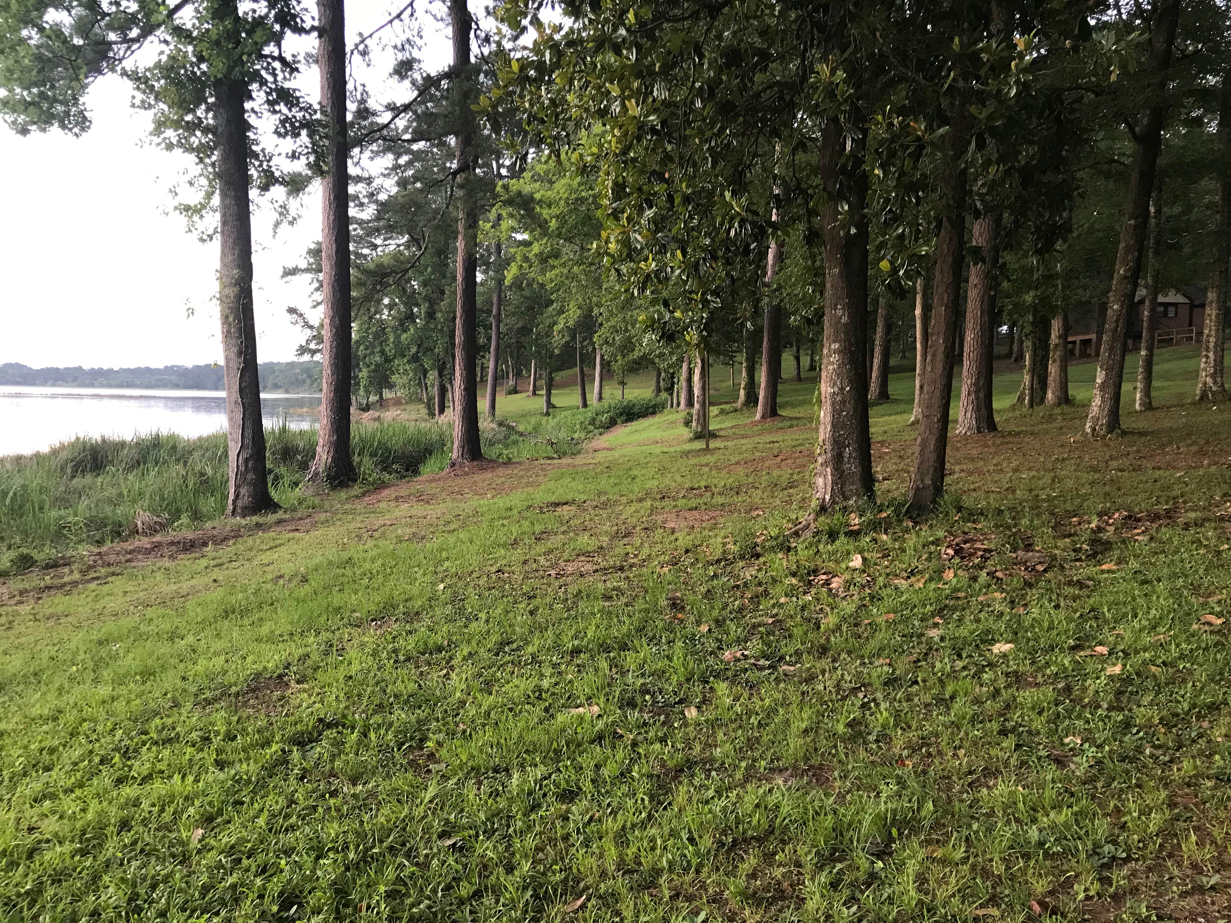 Camper-submitted photo at Percy Quin State Park — Percy Quinn State Park near Gloster, MS
