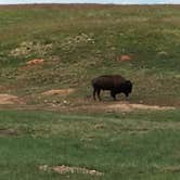 Review photo of Elk Mountain Campground — Wind Cave National Park by Brent K., August 5, 2018