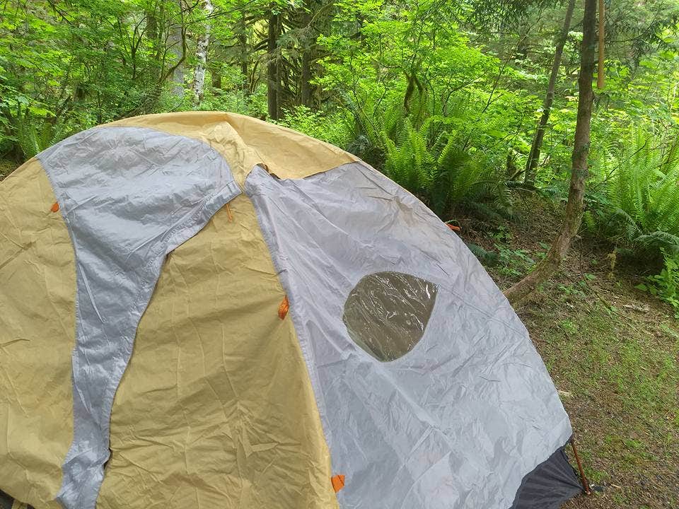 Camper submitted image from Shannon Creek Campground - 3