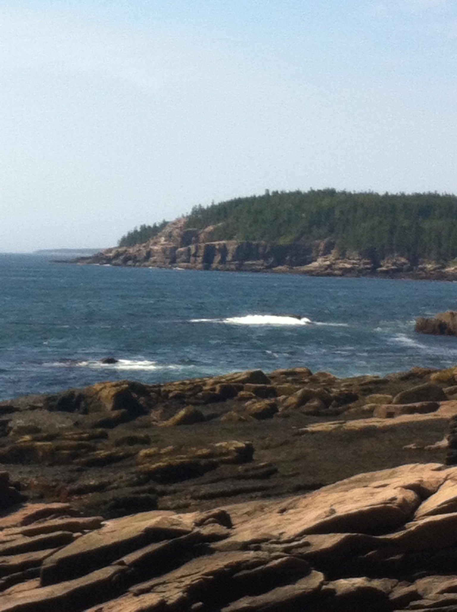 Camper submitted image from Blackwoods Campground — Acadia National Park - 4