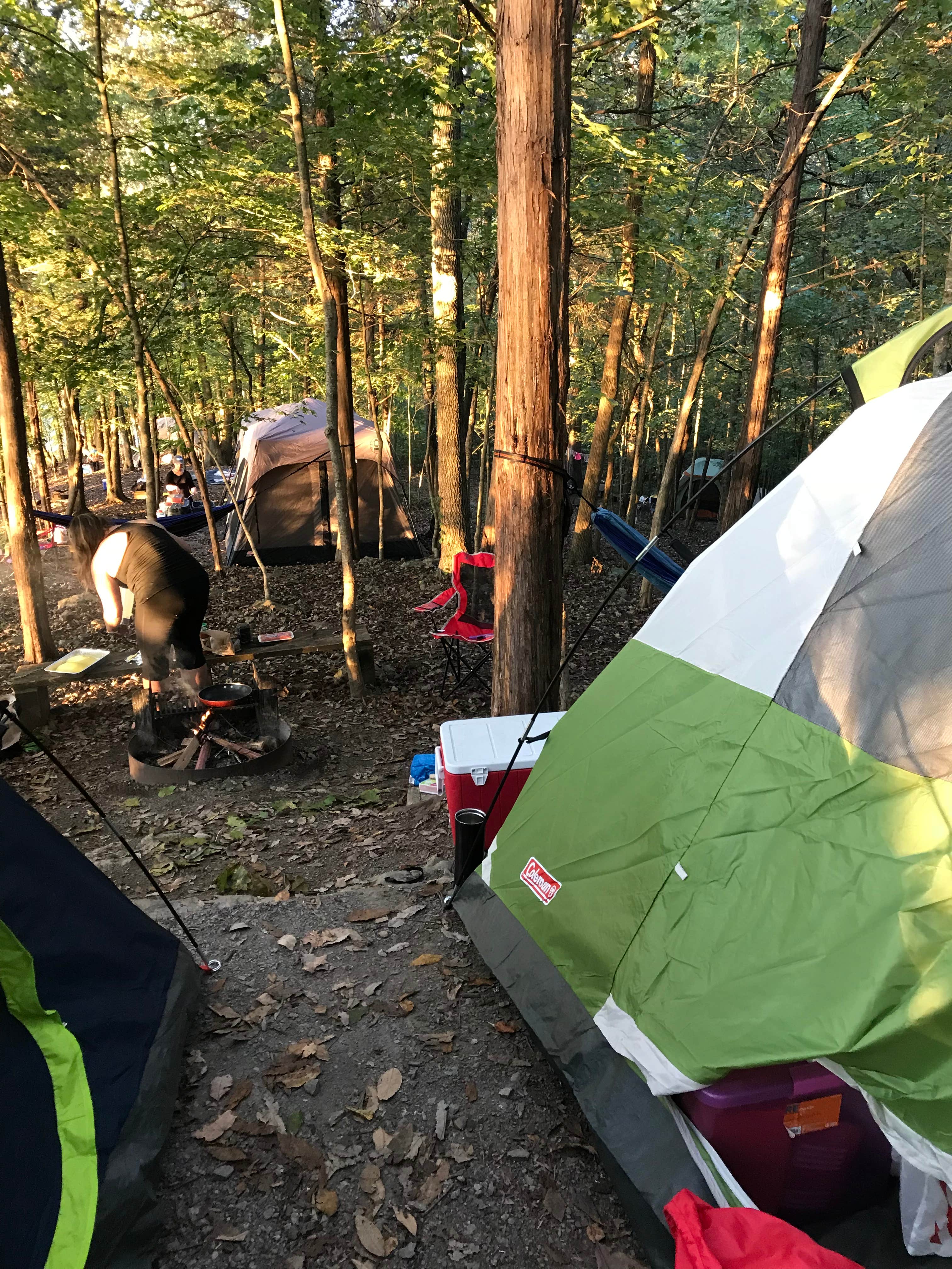 Emily W.'s photo at Edgar Evins State Park Campground near Cookeville, TN