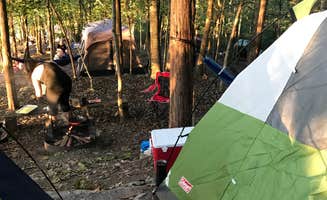 Emily W.'s photo at Edgar Evins State Park Campground in Tennessee