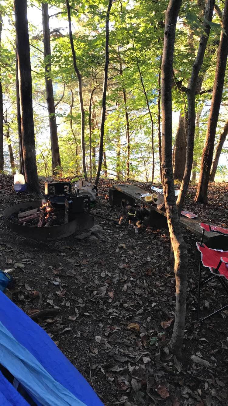 Emily W.'s photo at Edgar Evins State Park Campground near Cookeville, TN