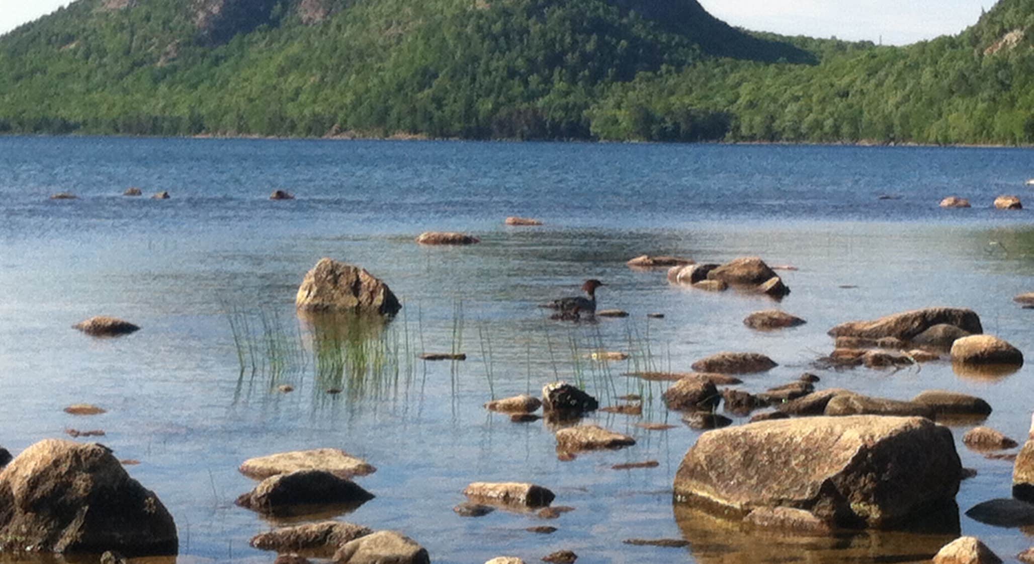 Water and mountain view near Blackwoods Campground Acadia National Park
