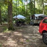 Review photo of Shad  Landing Campground by Matt B., August 5, 2018
