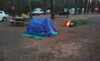 Lori-Ann D.'s photo at Charge Pond Campground — Myles Standish State Forest near Taunton, MA