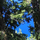 Review photo of Mazama Village Campground — Crater Lake National Park by Eva W., June 19, 2015