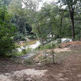 Review photo of Kisatchie Bayou NF Campground by Paula W., August 5, 2018