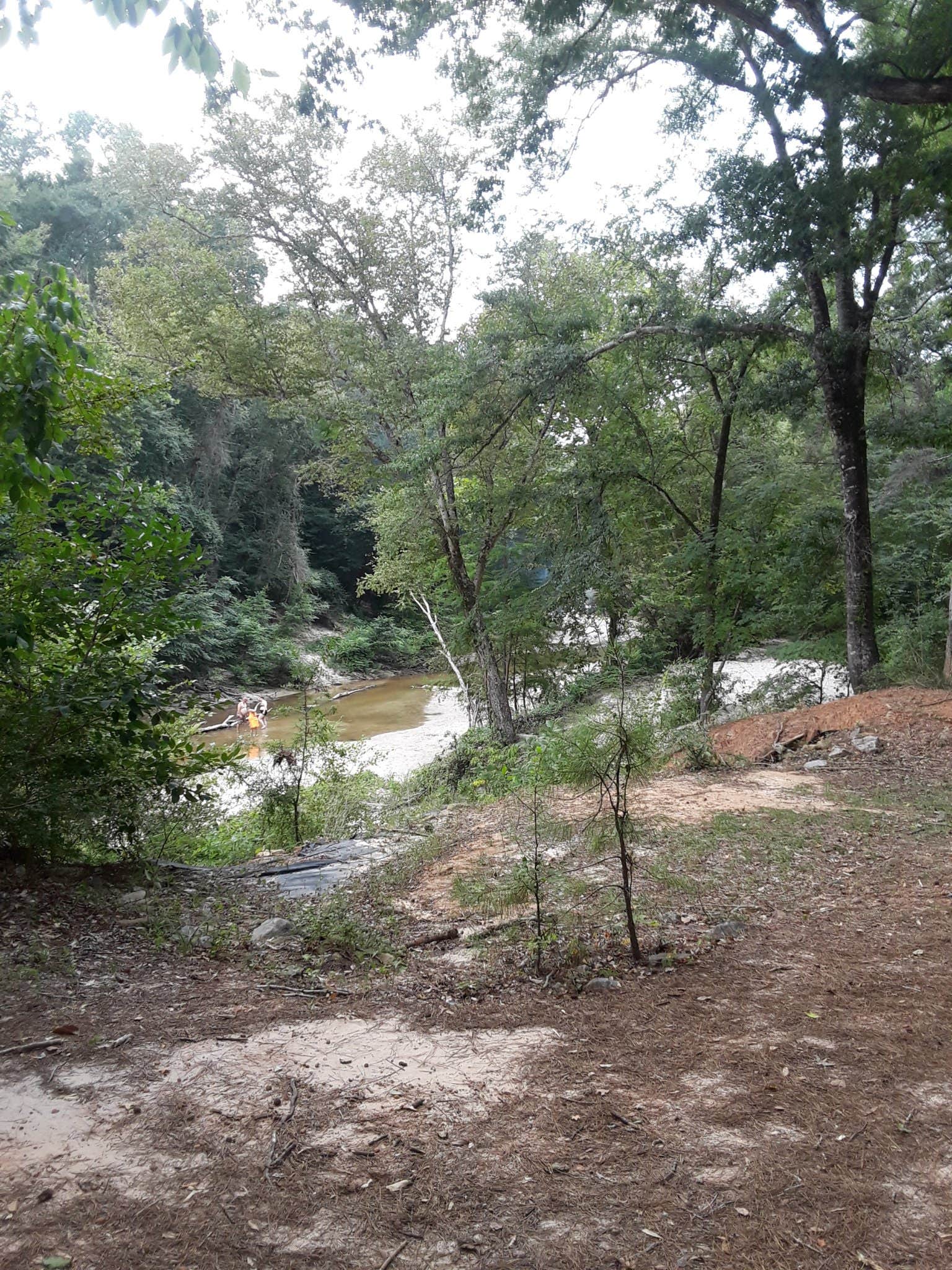 Camper submitted image from Kisatchie Bayou NF Campground - 5