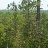 Review photo of Kisatchie Bayou NF Campground by Paula W., August 5, 2018