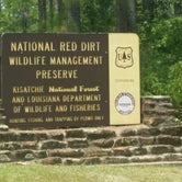 Review photo of Kisatchie Bayou NF Campground - Temporarily Closed by Paula W., August 5, 2018