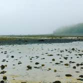 Review photo of Blackwoods Campground — Acadia National Park by Annie C., July 30, 2016