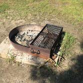 Review photo of Adeline Jay-Geo Karis Illinois Beach State Park by Josh S., August 5, 2018