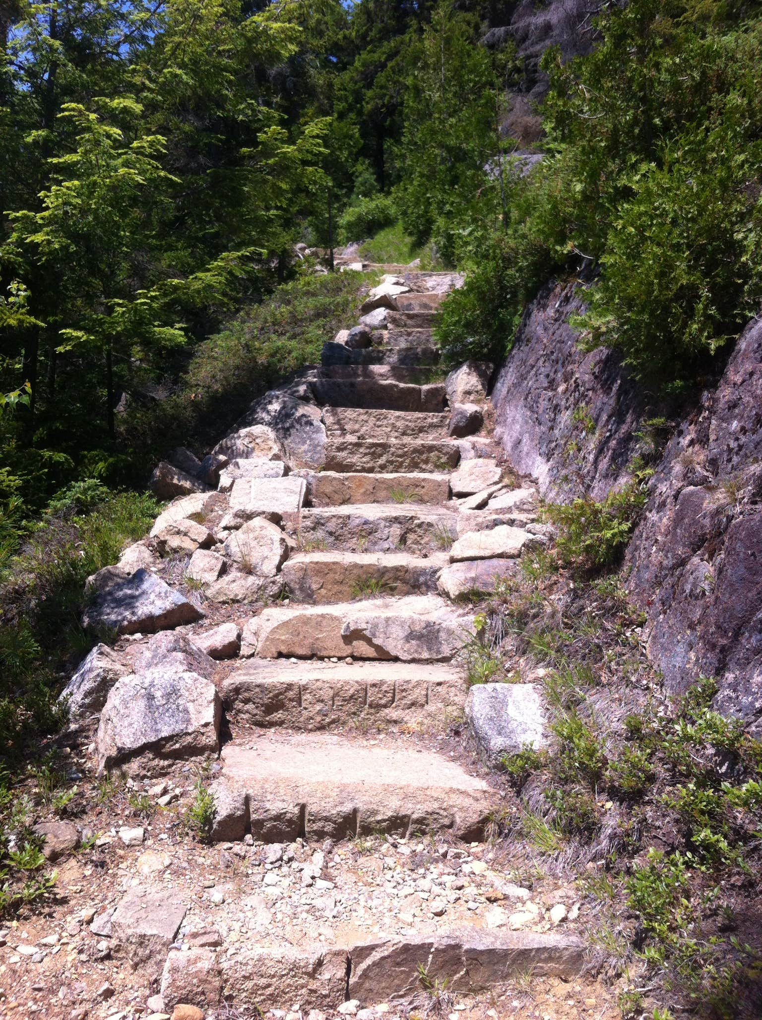 Camper submitted image from Seawall Campground — Acadia National Park - 3
