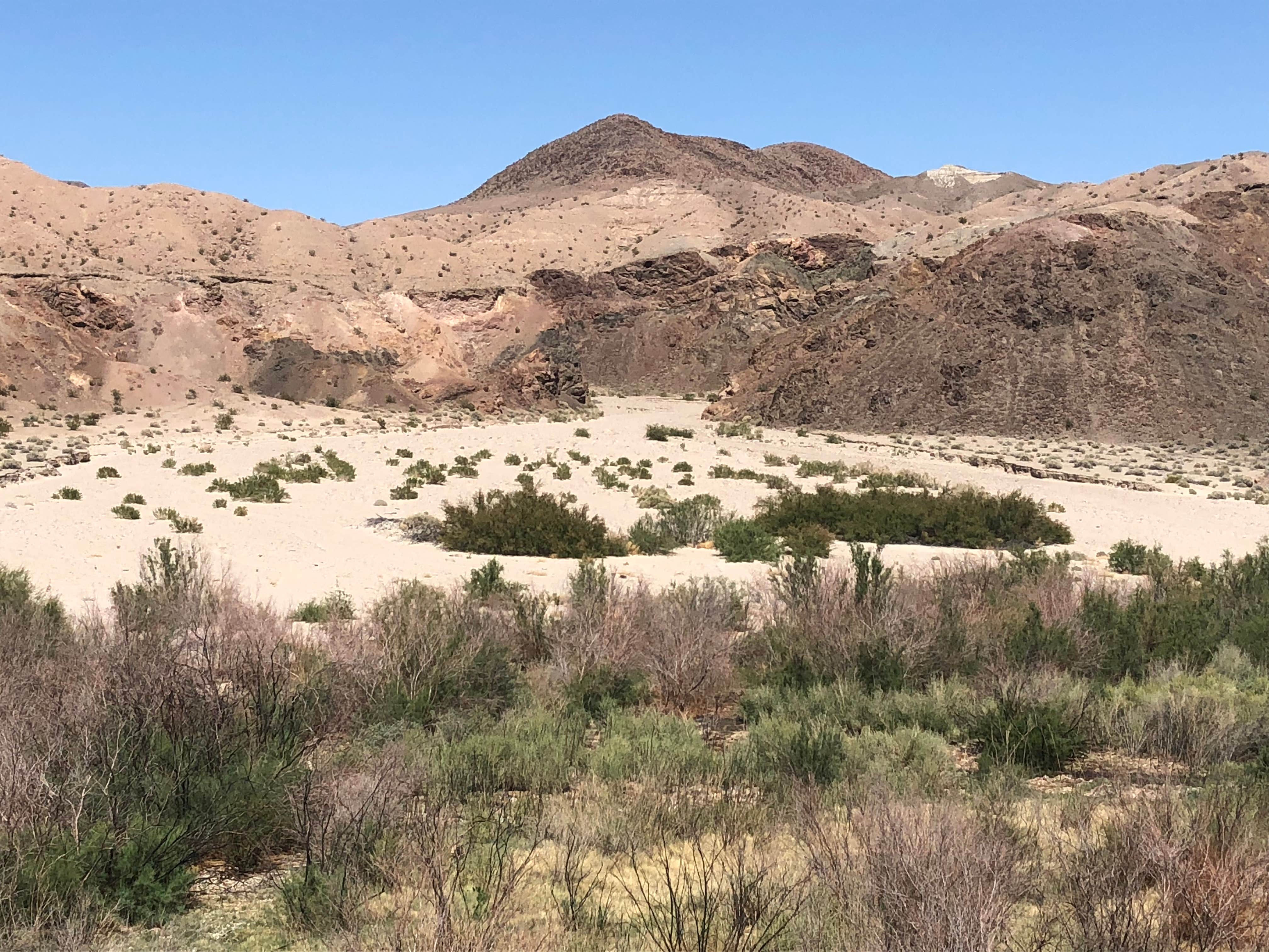 Camper-submitted photo at Afton Canyon Campground near Baker, CA
