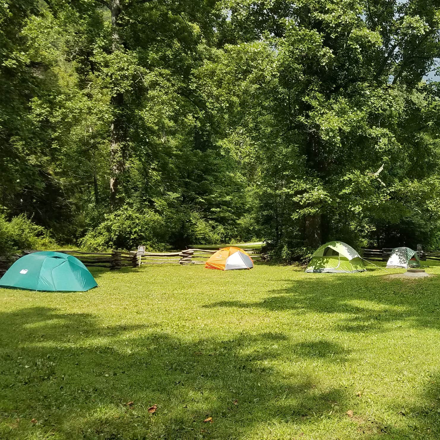 North Mills River Camping Mills River, NC The Dyrt