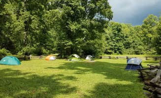 Valerie A.'s photo at North Mills River near Asheville, NC