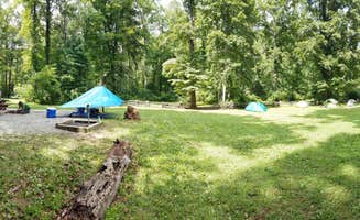 Valerie A.'s photo at North Mills River near Fletcher, NC