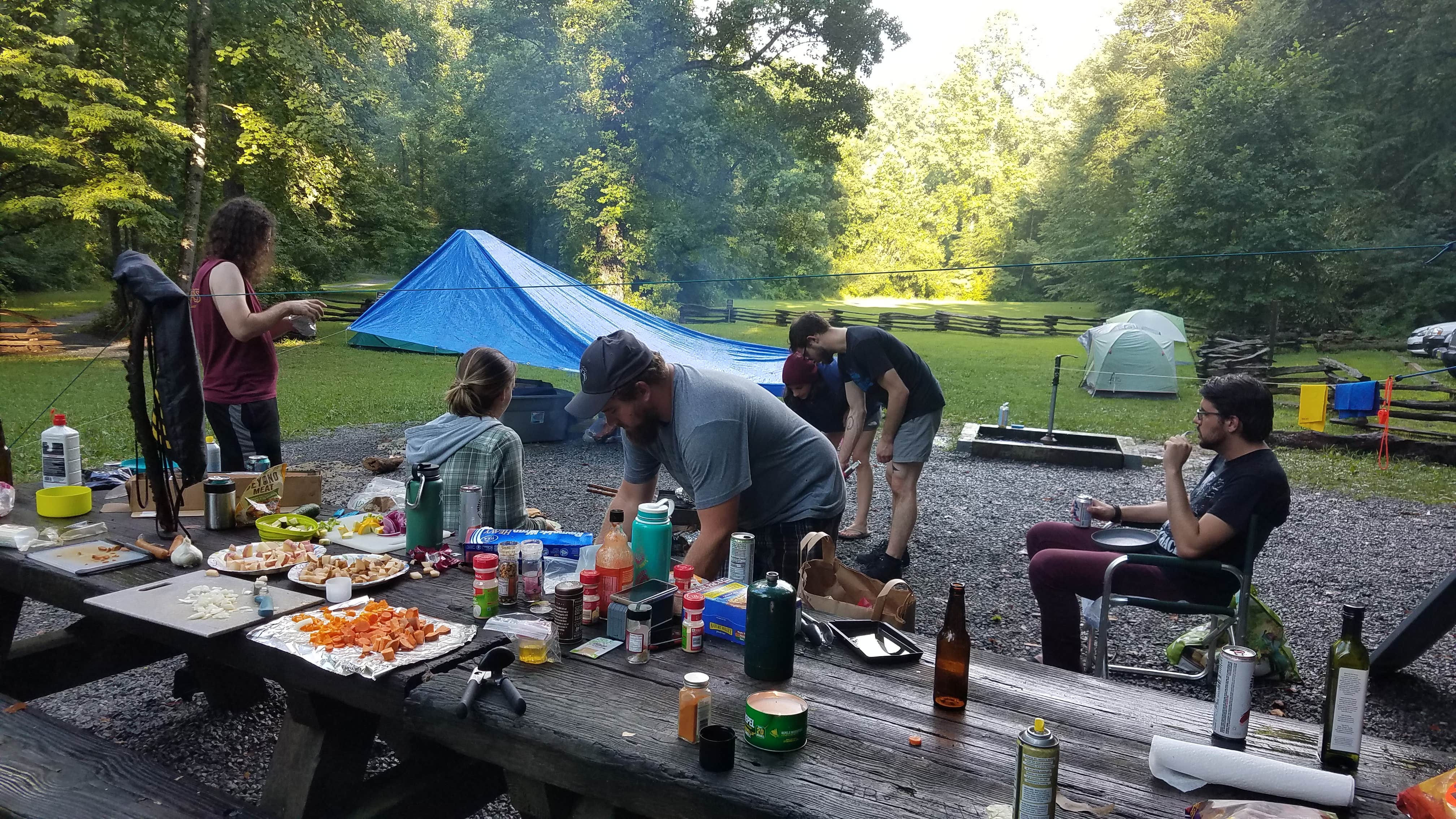Valerie A.'s photo at North Mills River near Asheville, NC