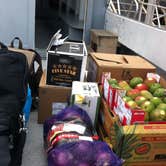 Review photo of Seawall Campground — Acadia National Park by Annie C., July 30, 2016