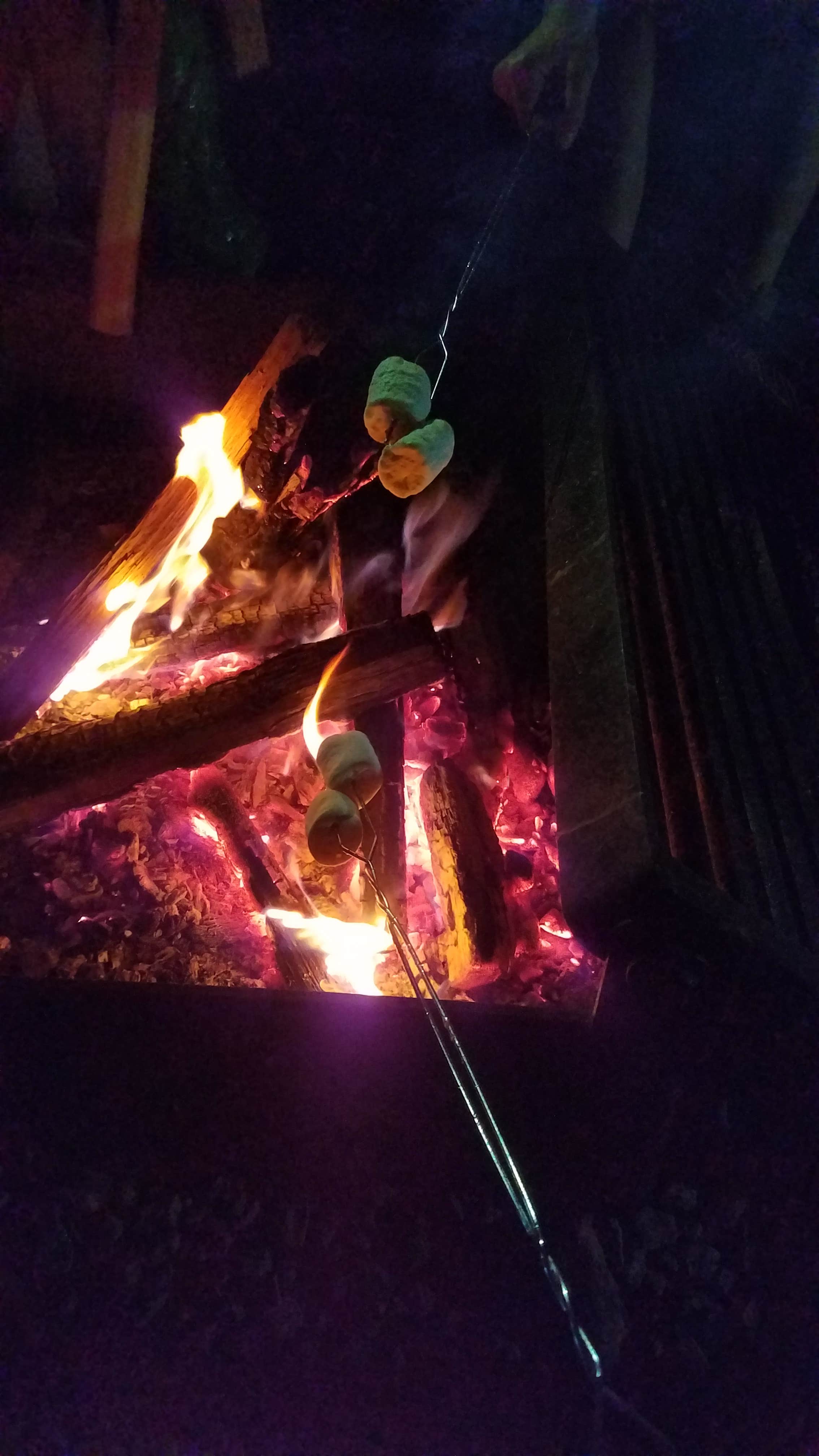 Camper submitted image from North Mills River - 3