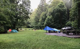 Valerie A.'s photo at North Mills River near Flat Rock, NC