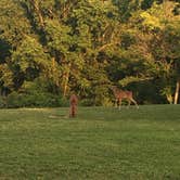 Review photo of St. Joe State Park Campground by Amy D., August 6, 2018