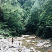 Review photo of Walls of Jericho - Clark Cemetery Backcountry Campsite by emmy , August 6, 2018