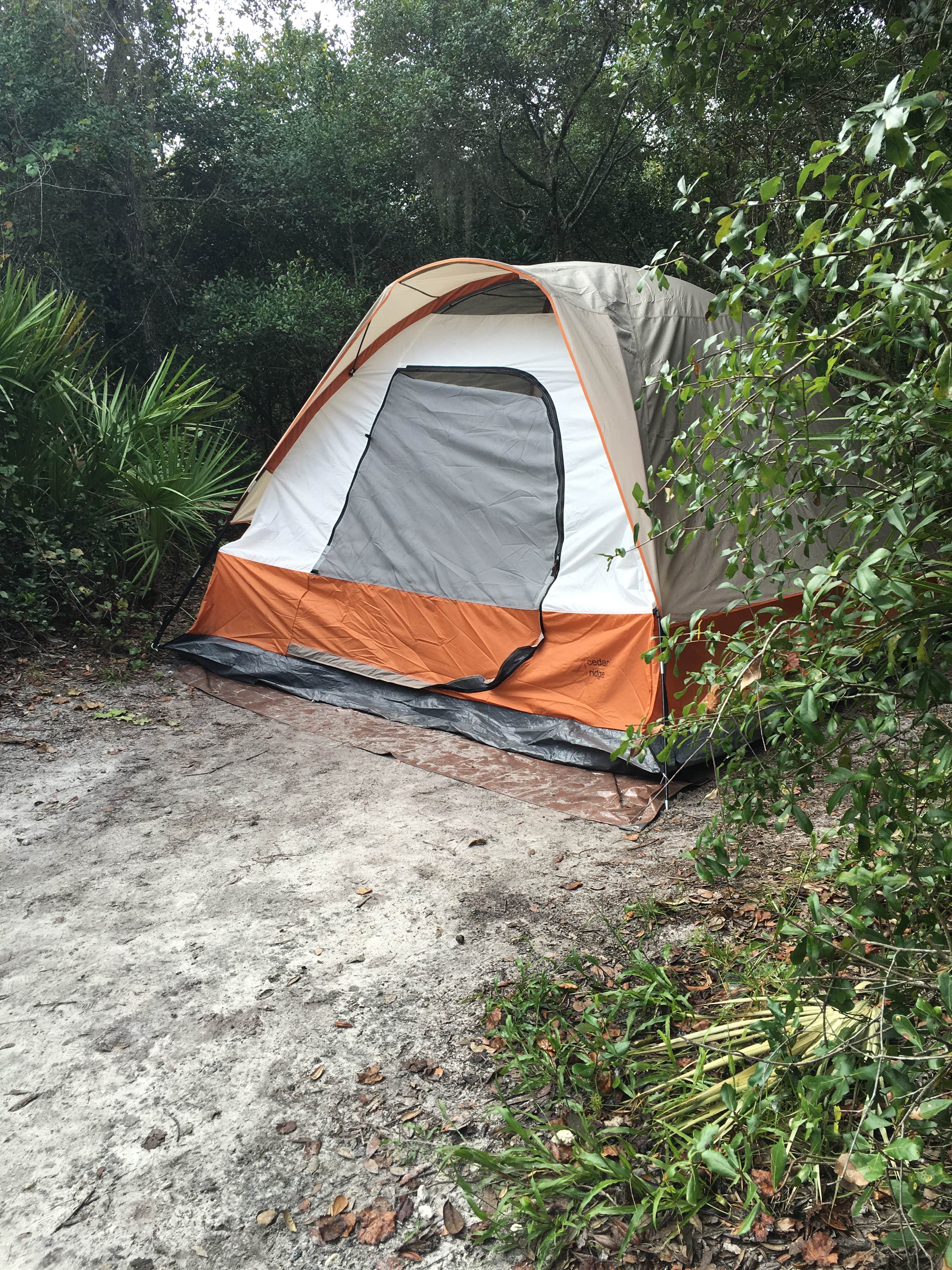 Jacquelin P.'s photo at Blue Spring State Park Campground near New Smyrna Beach, FL