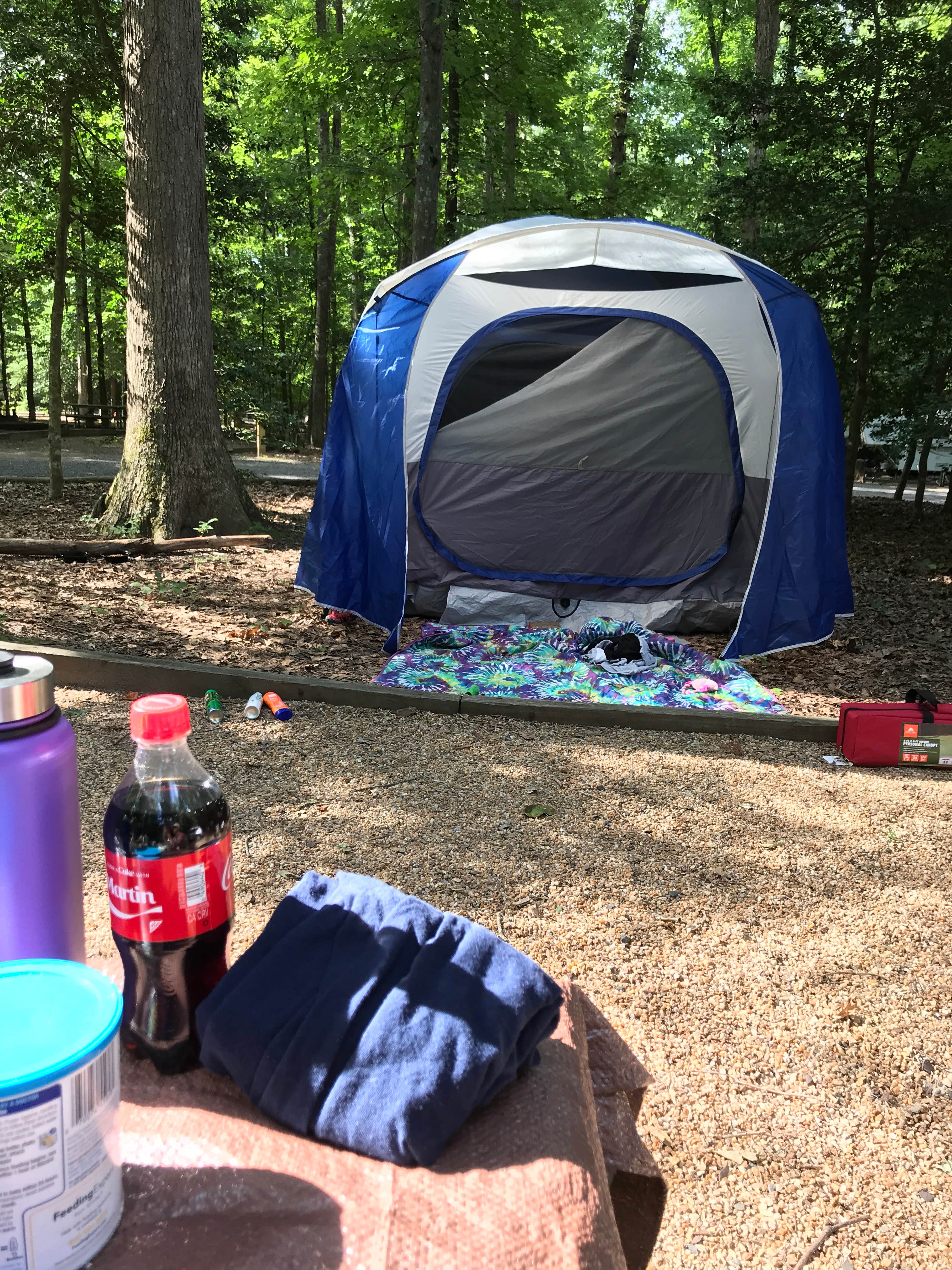 Kelly J.'s photo at Westmoreland State Park Campground near Broomes Island, MD