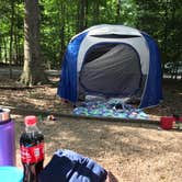 Review photo of Westmoreland State Park Campground by Kelly J., August 6, 2018