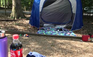 Kelly J.'s photo at Westmoreland State Park Campground near Scotland, MD