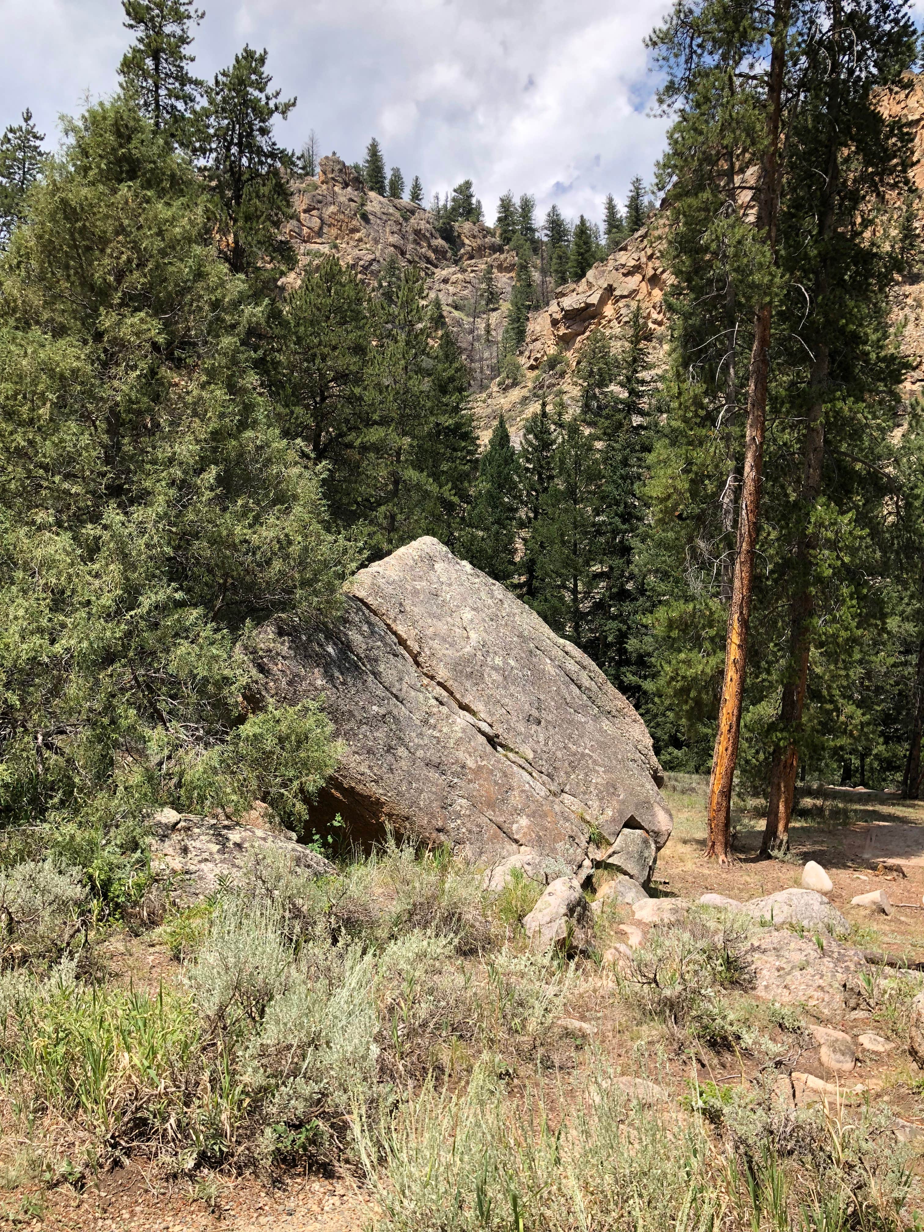Camper-submitted photo at Rosy Lane near Crested Butte, CO