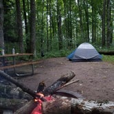 Review photo of Lost Lake Campground (WI) by Lisa R., August 6, 2018