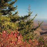 Review photo of Julian Price Park Campground — Blue Ridge Parkway by Meg  S., July 1, 2015