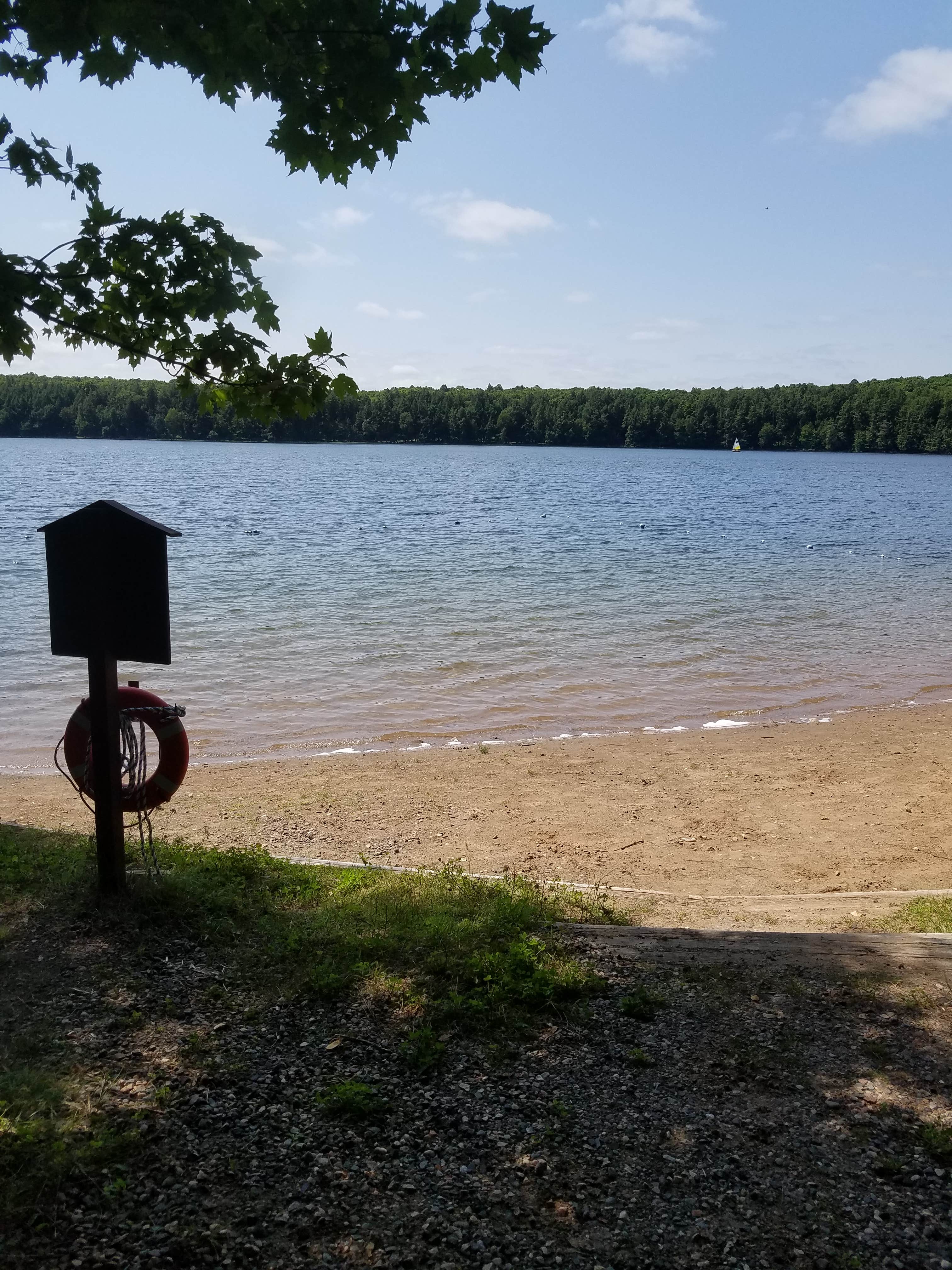 Camper submitted image from Lost Lake Campground (WI) - 5
