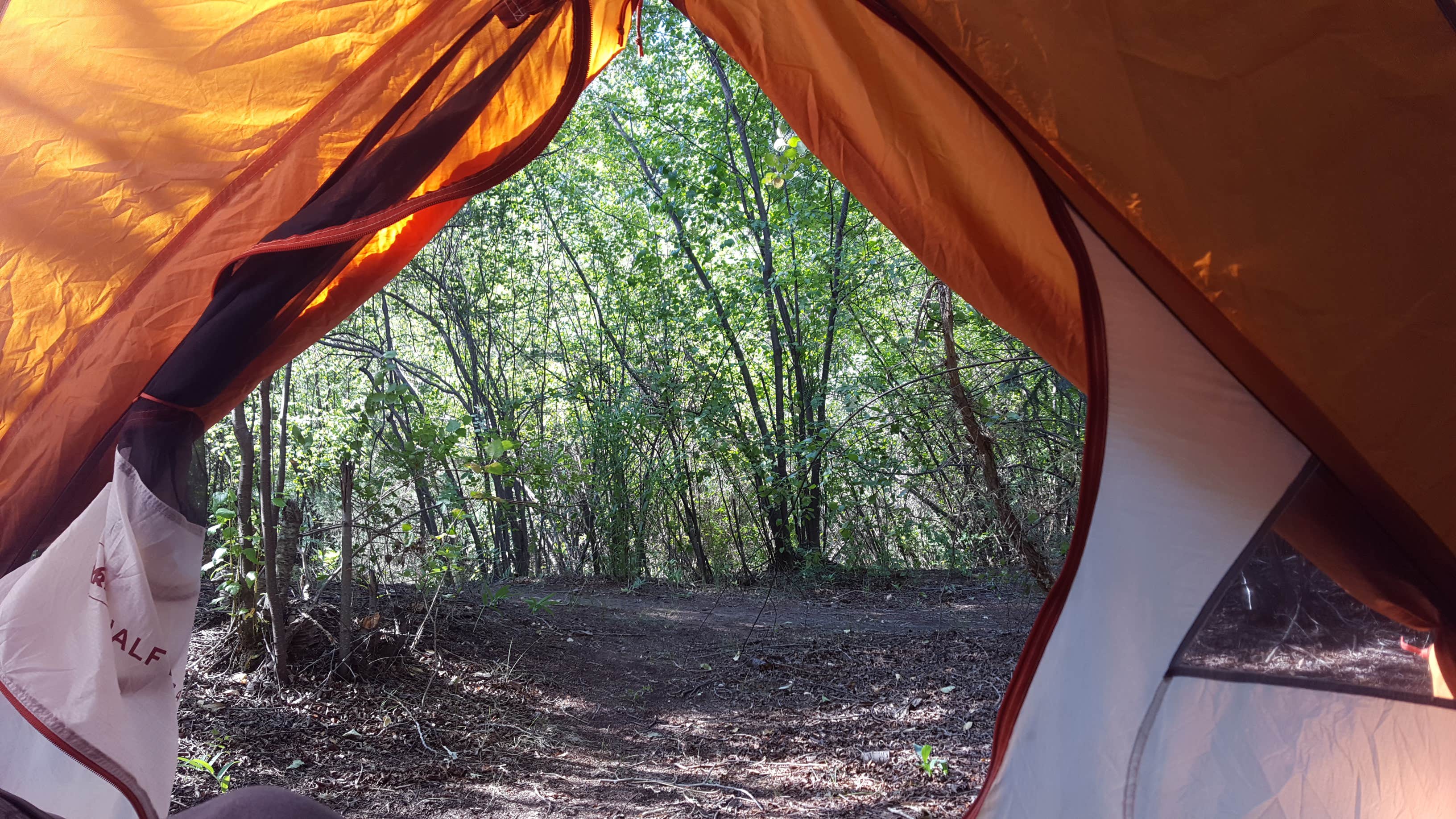 Camper submitted image from Caddis Flats - 3