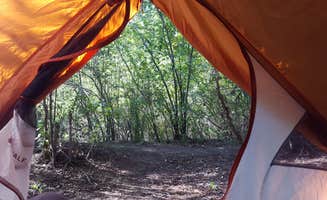 Melissa K.'s photo at Caddis Flats near Norwood, CO