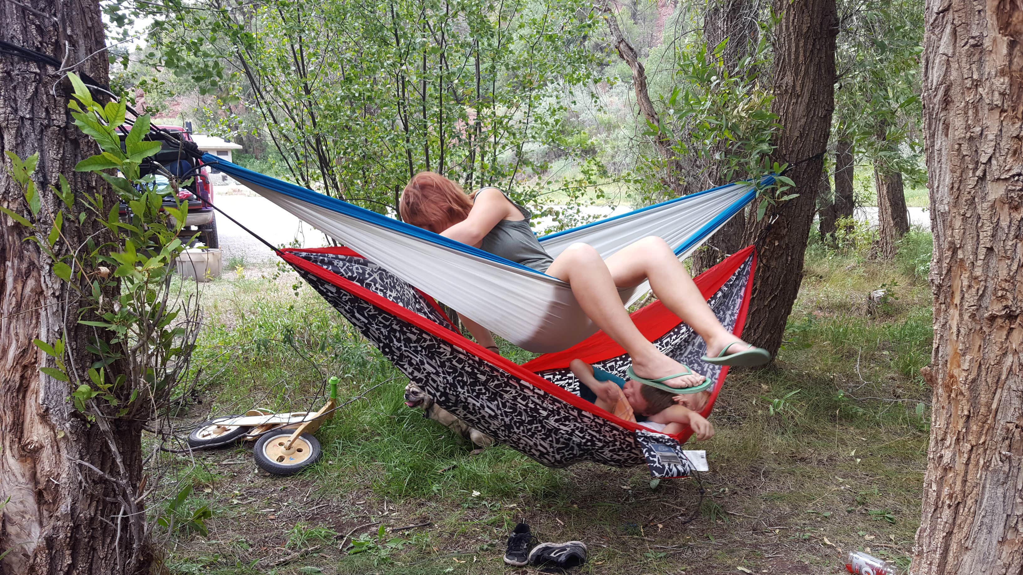 Camper submitted image from Caddis Flats - 4