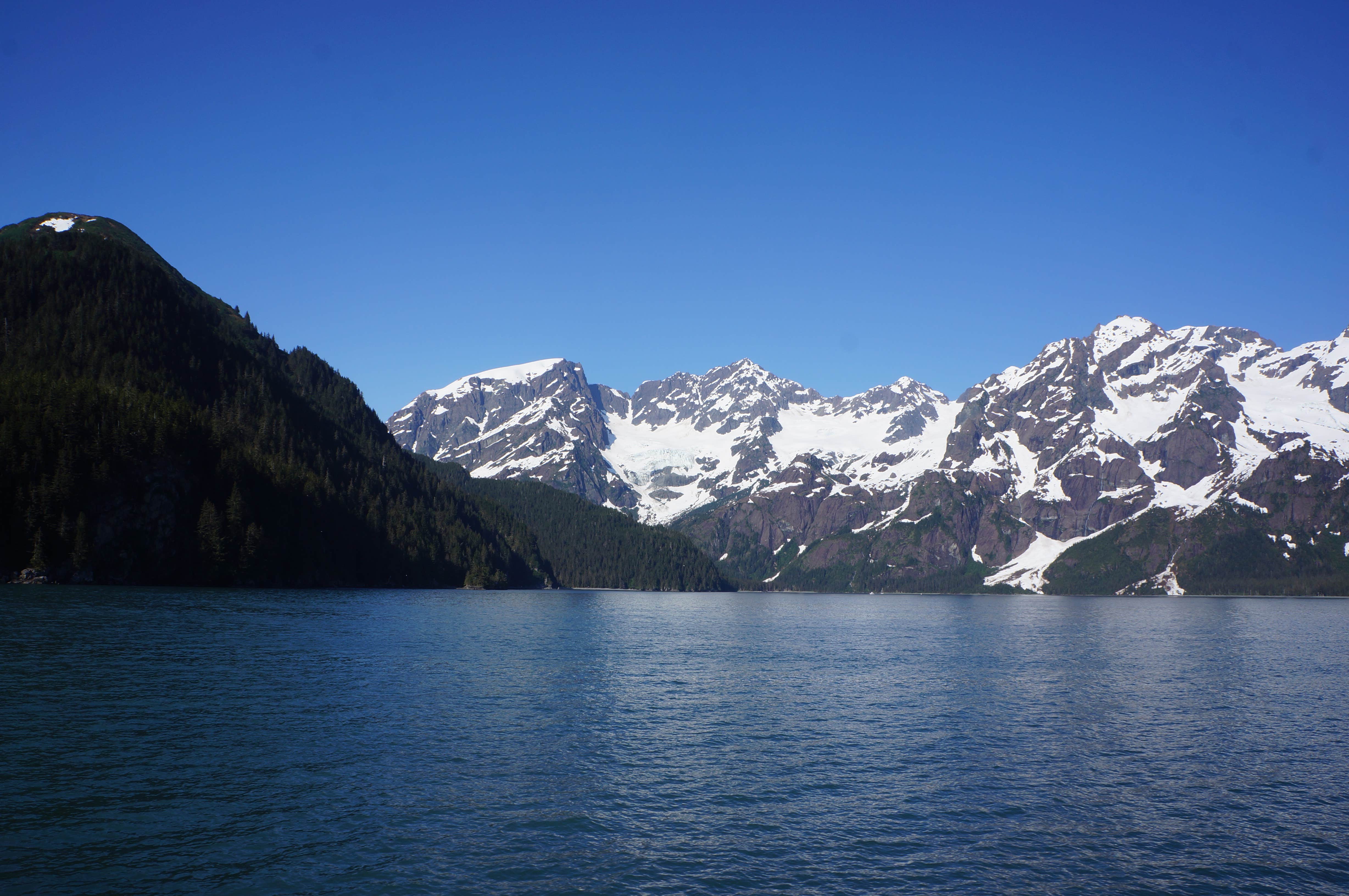 Camper submitted image from Kenai Fjords National Park Cabins - 4