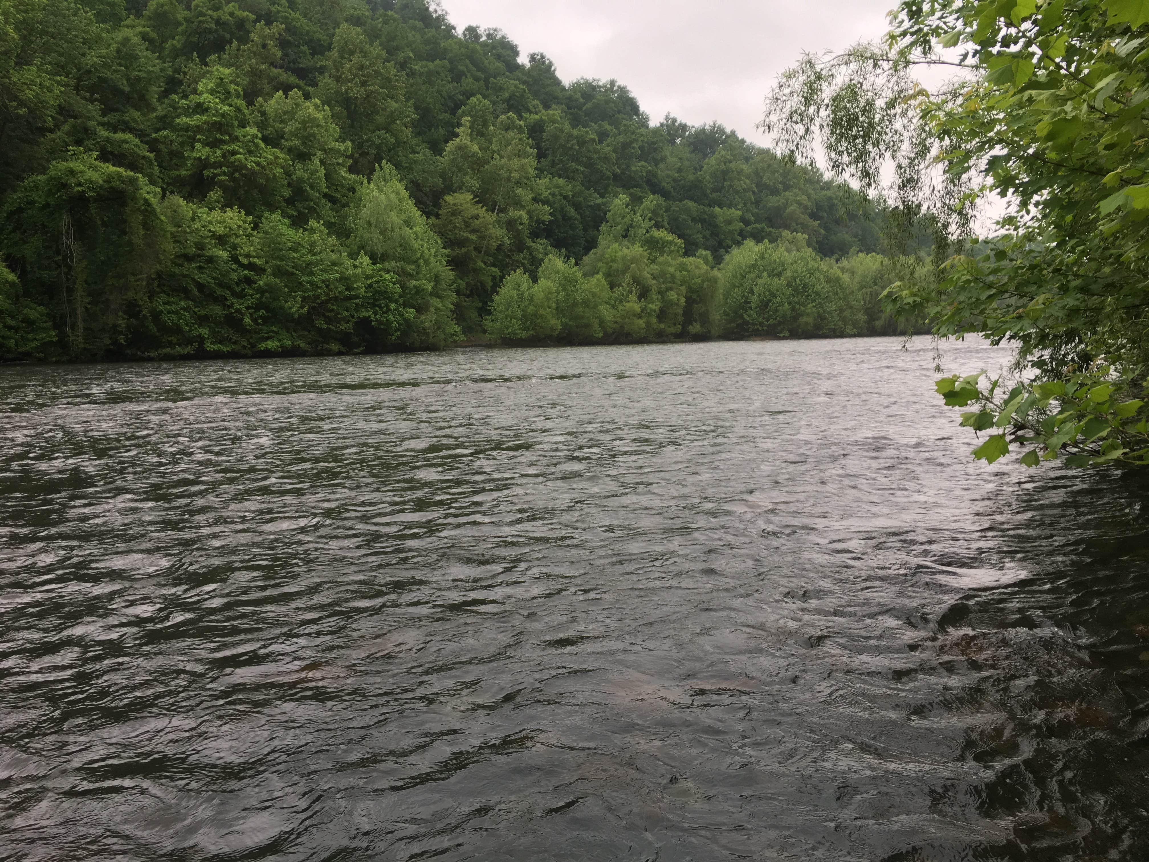 Camper submitted image from Dingmans Campground - Delaware Water Gap NRA - 2