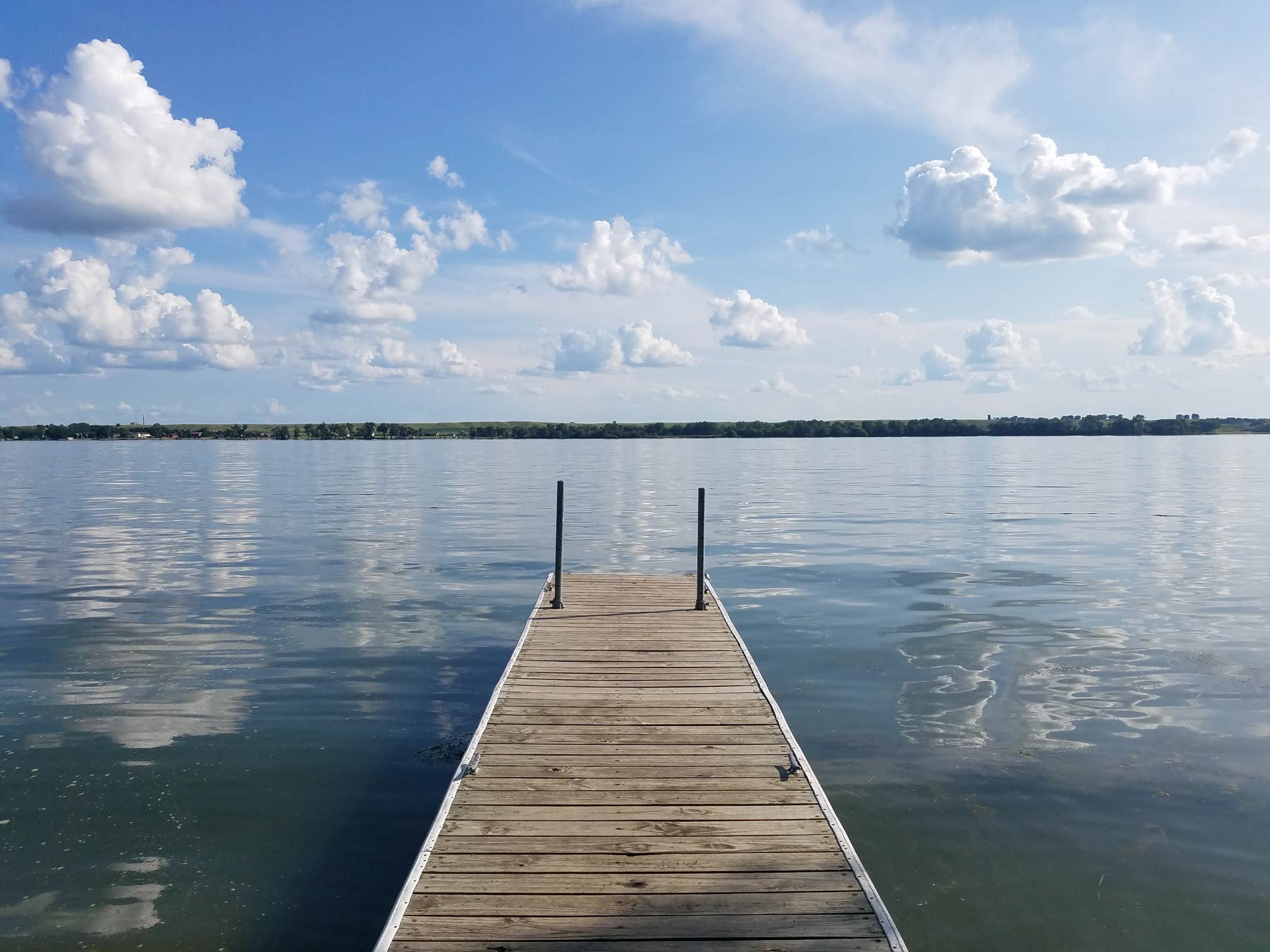View All