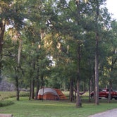 Review photo of Stephen Austin State Park Campground by emmy , August 6, 2018