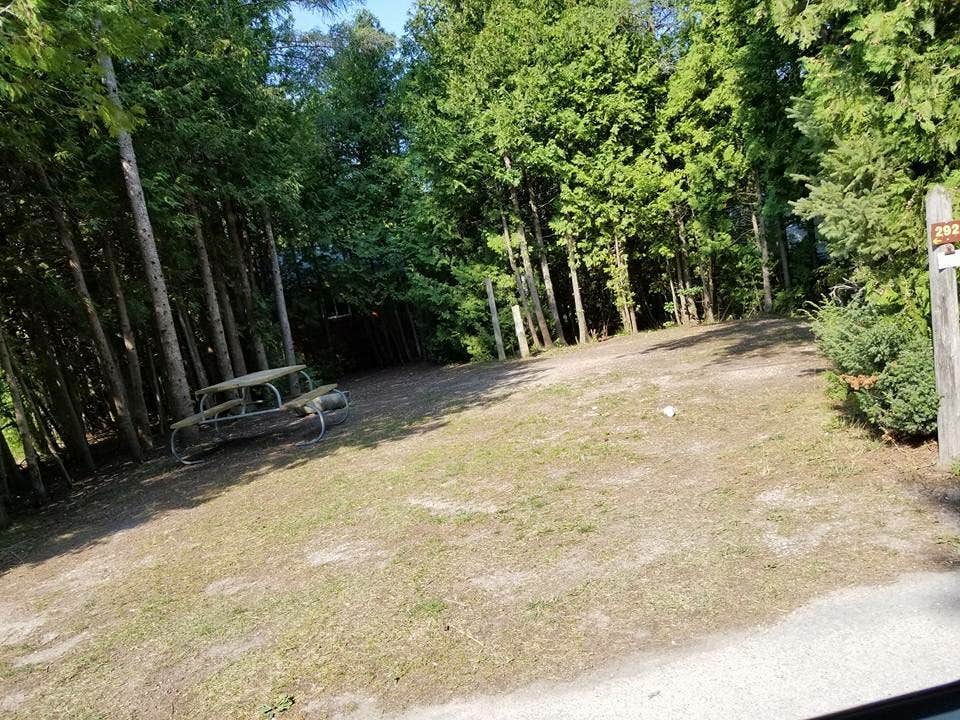 Camper submitted image from Mackinaw Mill Creek Camping - 3