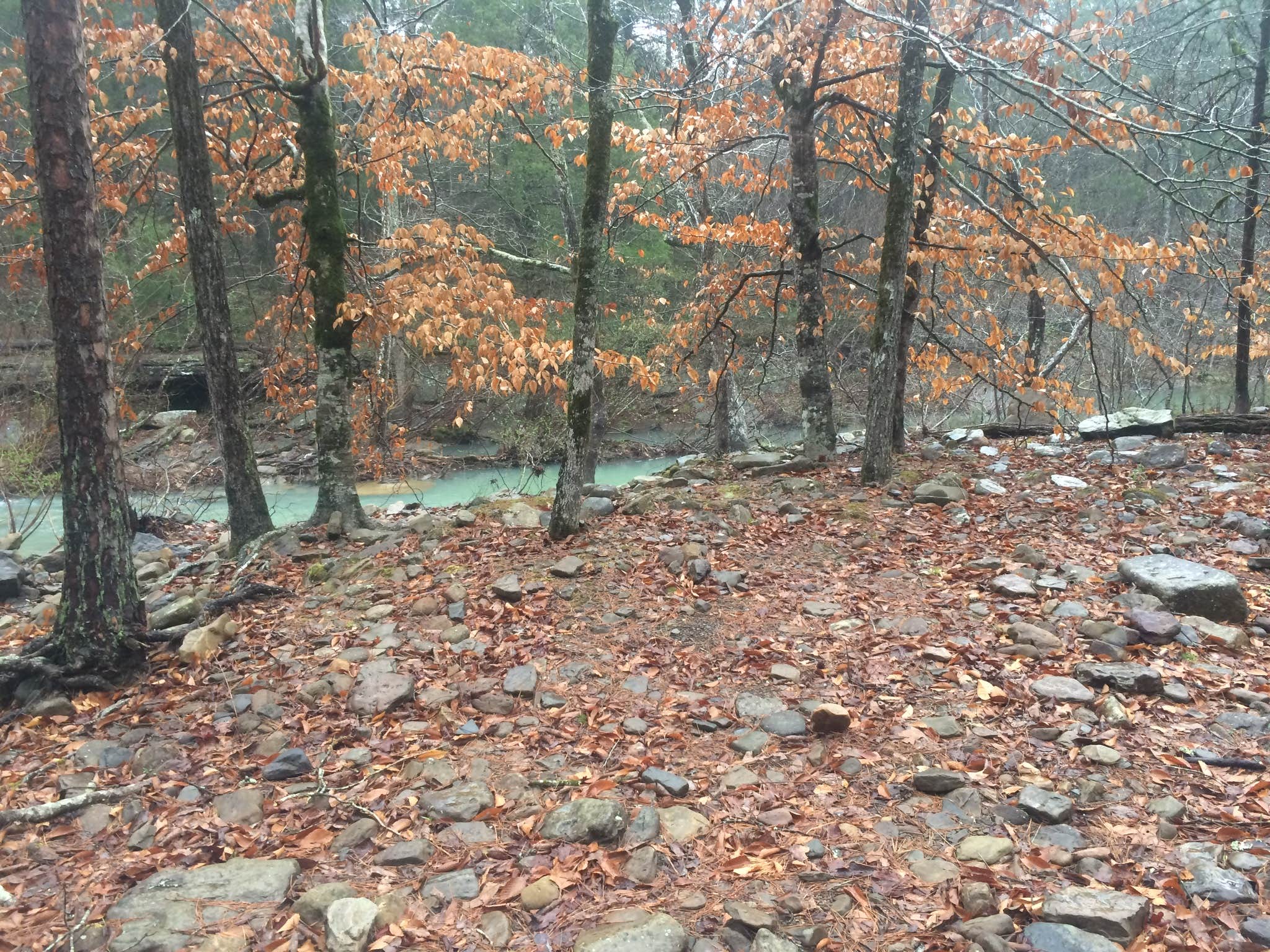 Camper-submitted photo at Haw Creek Falls Camping near Leslie, AR