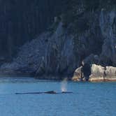 Review photo of Kenai Fjords National Park Cabins by Bart R., July 30, 2016